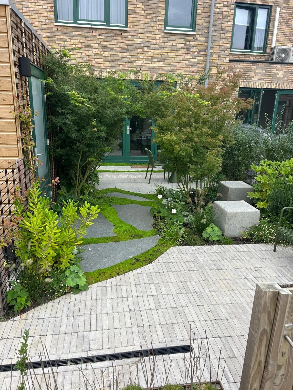 Lush city garden with natural stone steppers and Japanese maples
